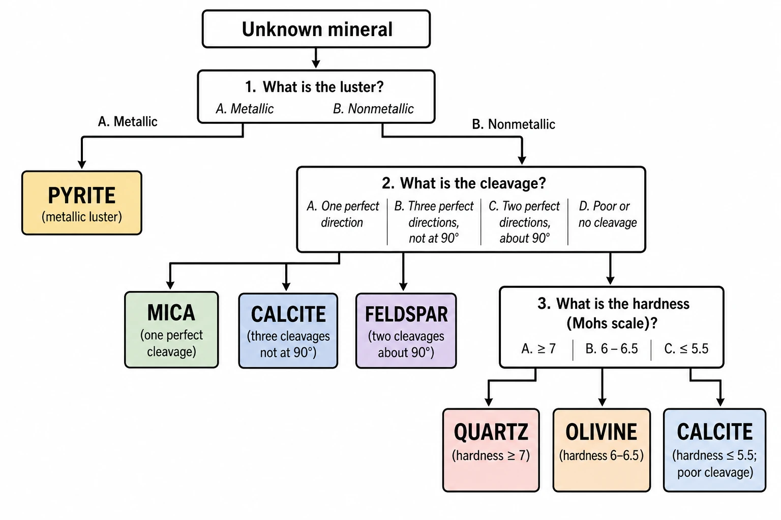 Export your online dichotomous key
