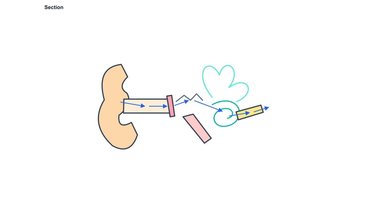 Ear anatomy schematic without structure labels