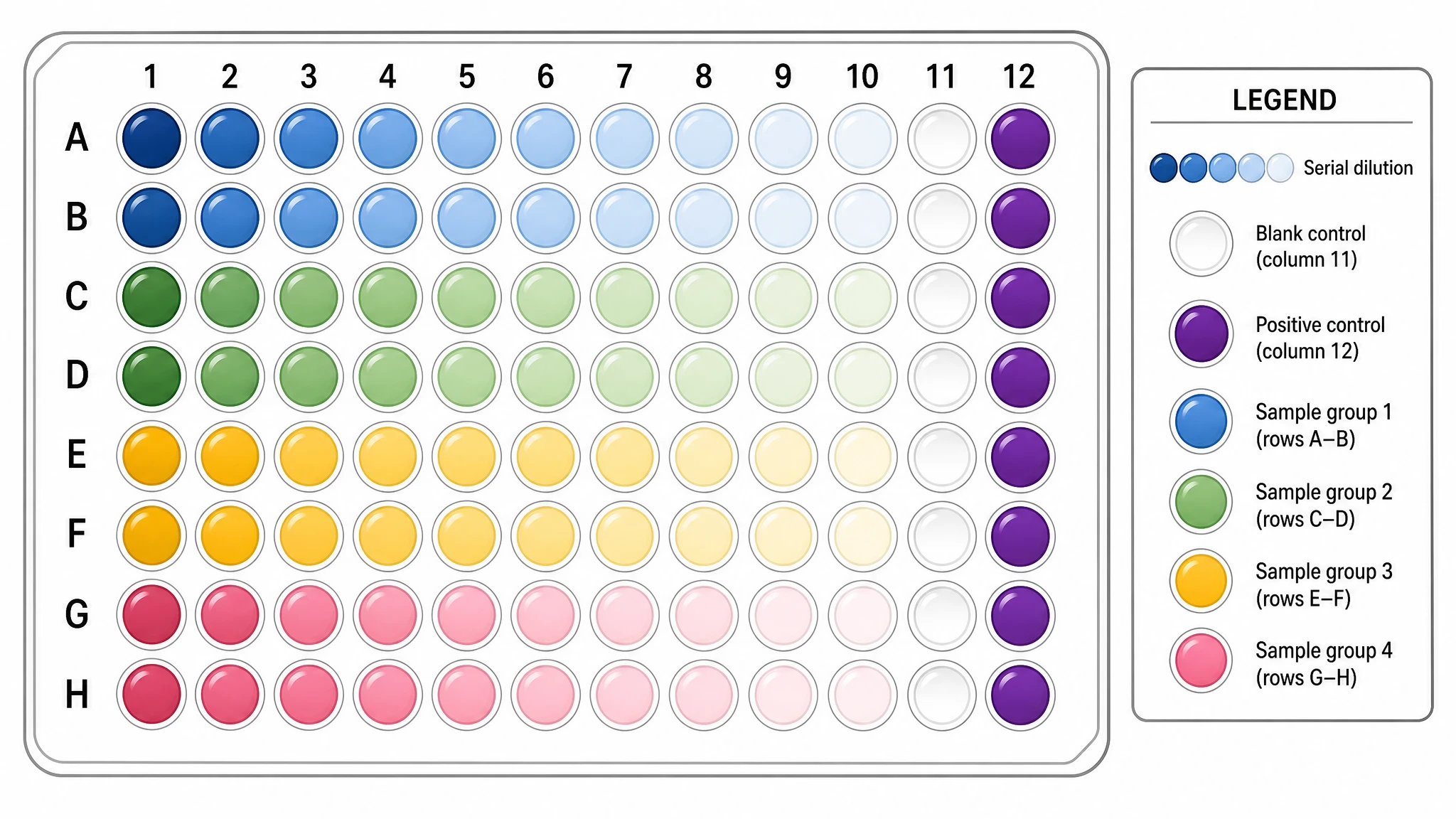 Relabel wells, controls, and experimental conditions