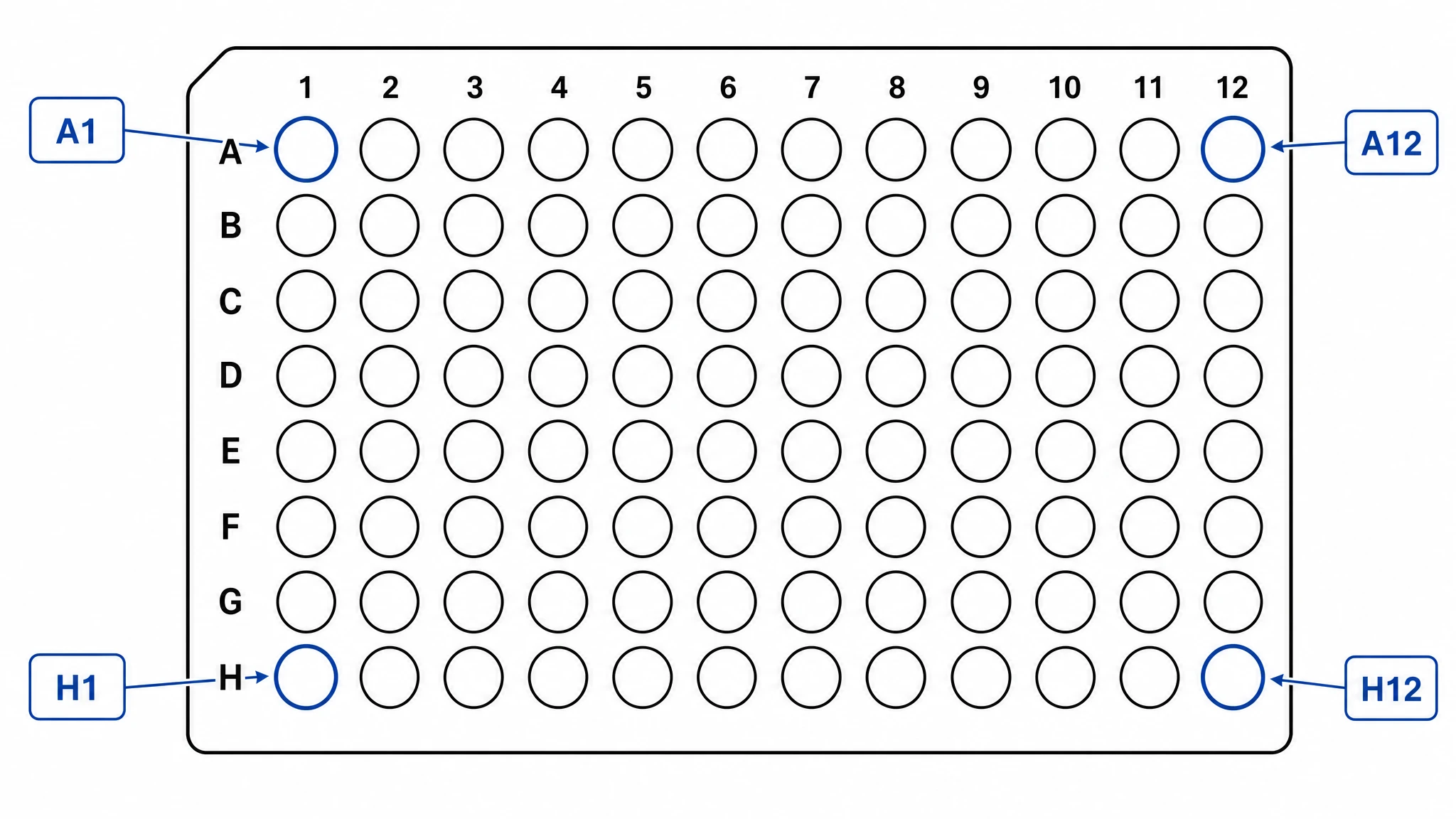96 well plate map emphasizing well coordinates and sample IDs (Figure generated with SciFig)