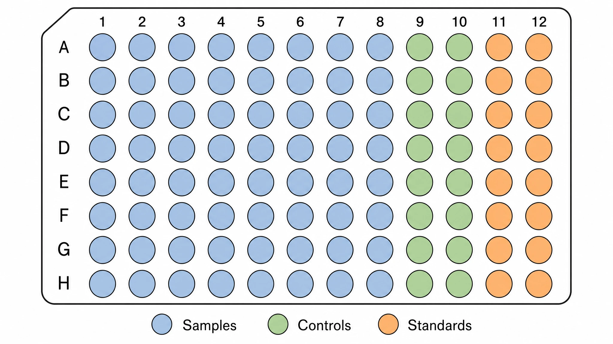 Editable 96 well plate diagram showing a standard 8x12 microplate layout with labeled rows and columns (Figure generated with SciFig)
