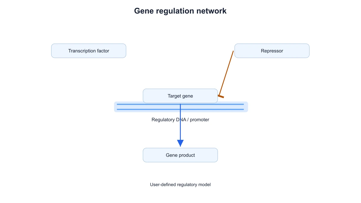 Gene regulation example with an inhibitory terminal from the repressor to the target gene