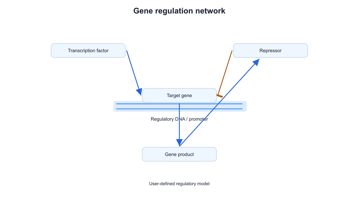 Custom regulatory model with an added activating connection from the gene product to the repressor