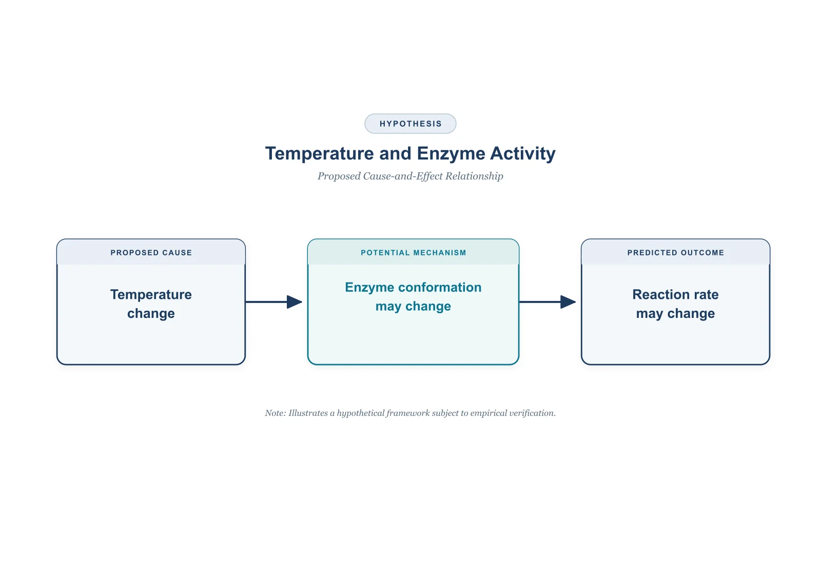 Cause-and-effect organizer connecting temperature change, a possible change in enzyme conformation and a possible change in reaction rate (Figure generated with SciFig)