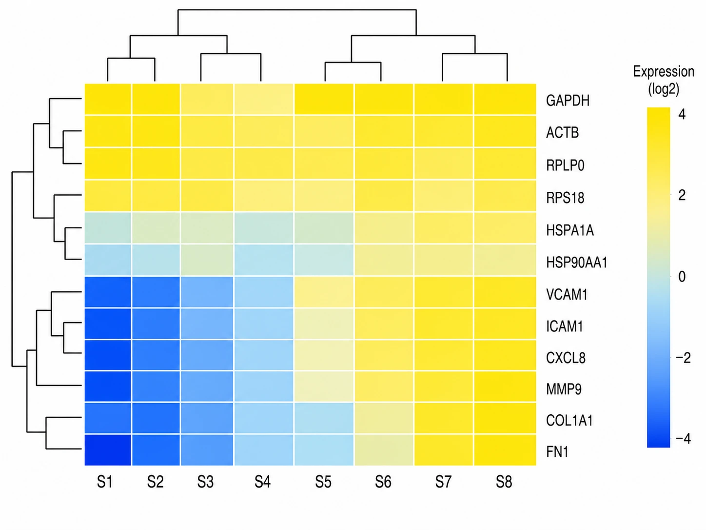 Gene expression heatmap with clustered rows and columns showing 12 genes across 8 conditions colored blue to yellow (Figure generated with SciFig)