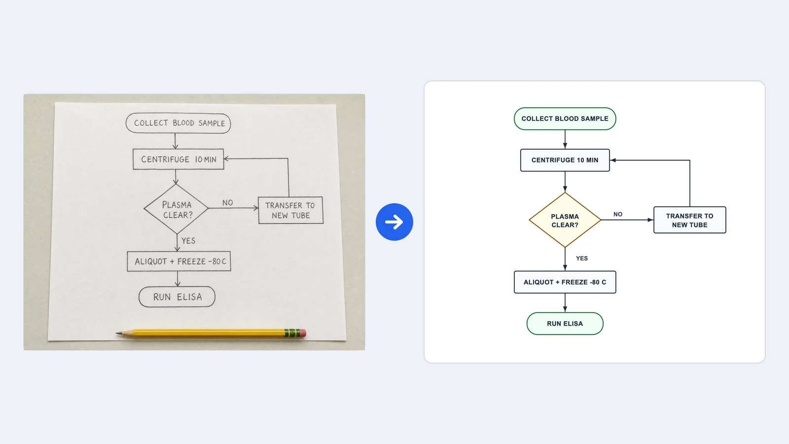 Schizzo a matita di un protocollo per campioni di sangue con ciclo di controllo del plasma e lo stesso schema rifatto in FlowChart a blocchi modificabili