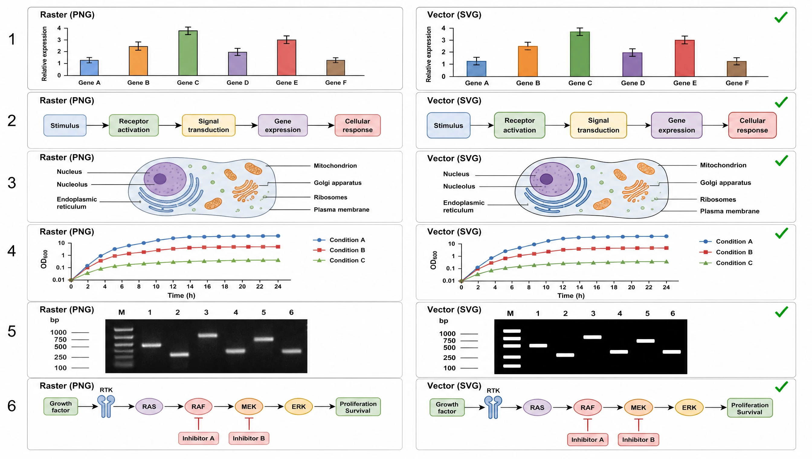 Grid of six scientific figures shown as raster and converted editable SVG pairs in a batch conversion (Figure generated with SciFig)