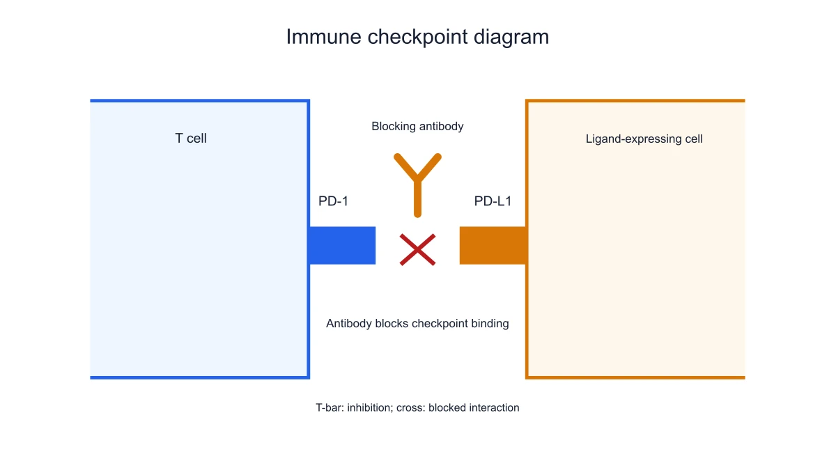 Blockade of the PD-1/PD-L1 interaction