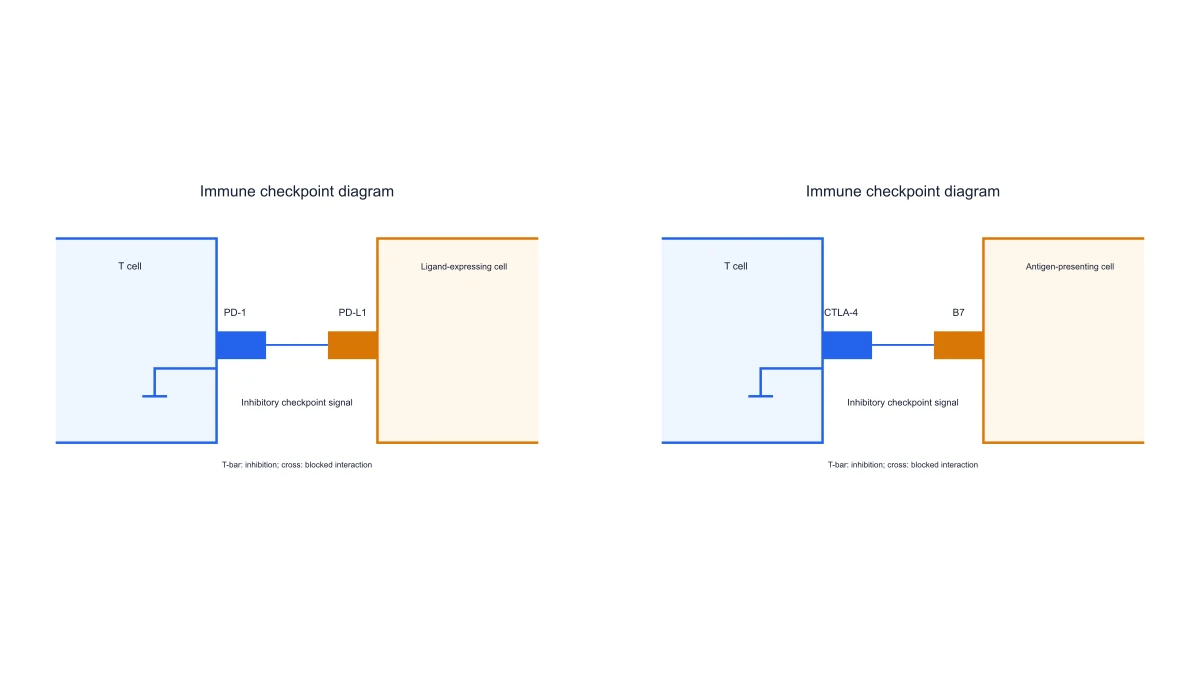 Immune Checkpoint Diagram Generator example figure
