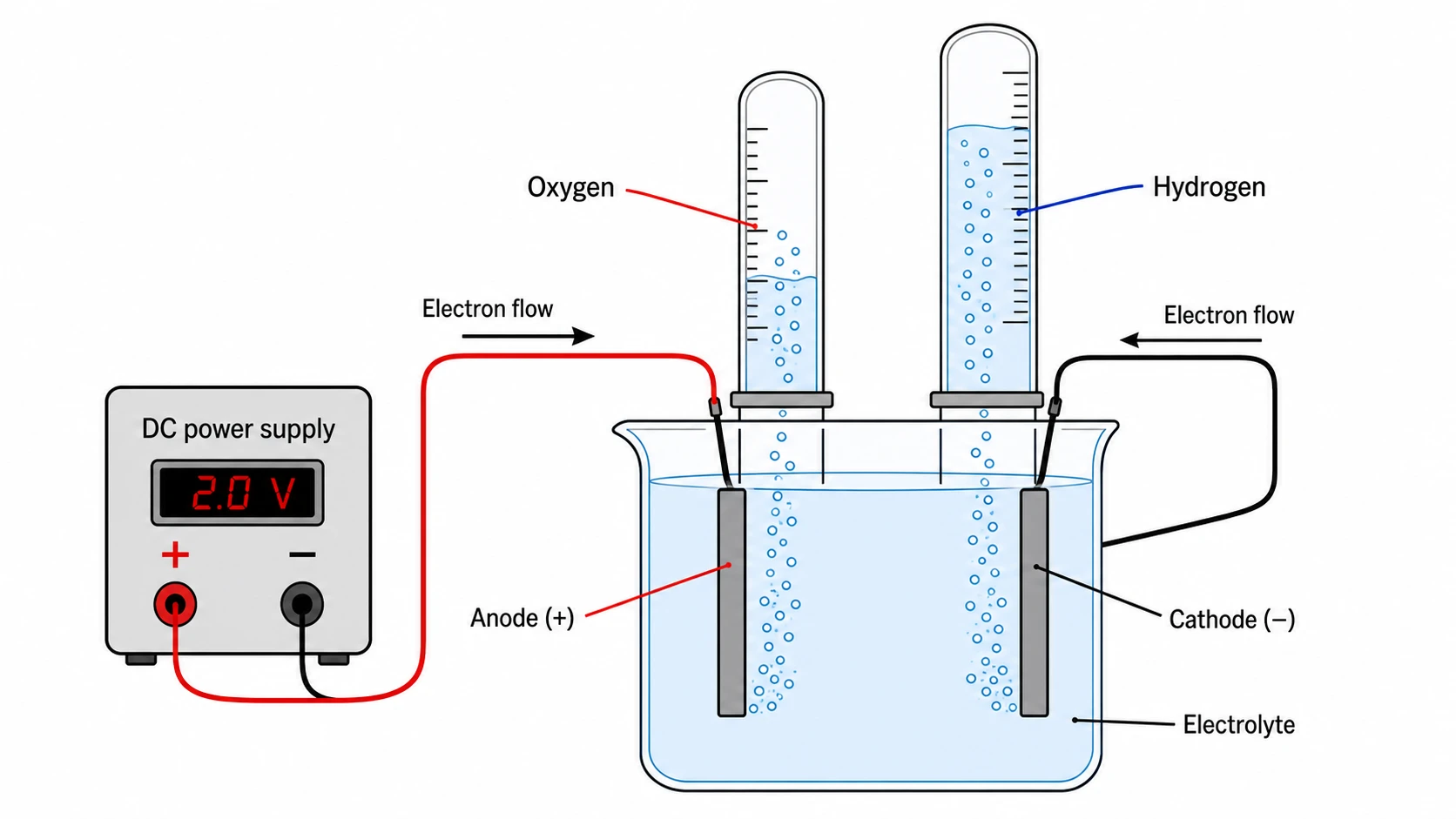 Science experiment diagram of an electrolysis cell with electrodes, power supply, and labeled gas collection tubes (Figure generated with SciFig)