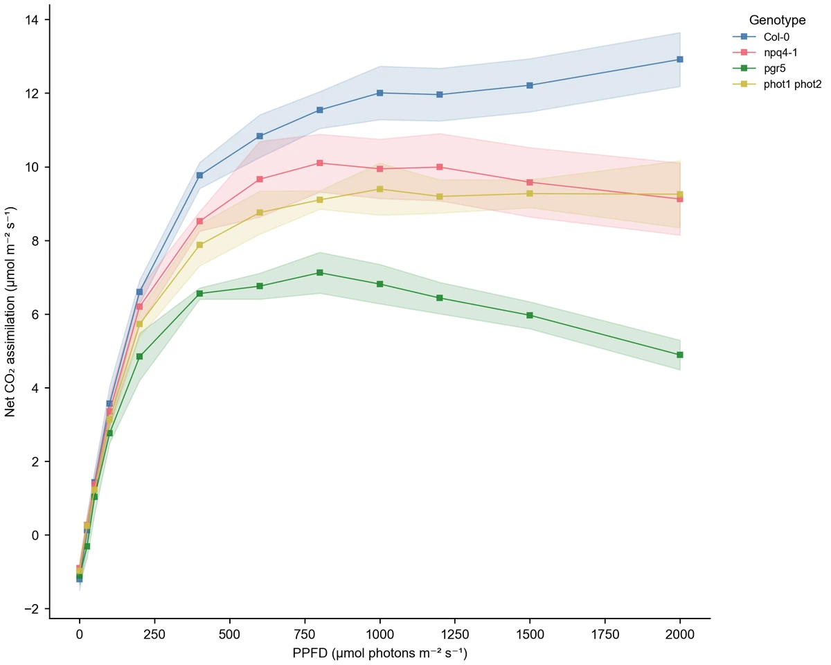 Light-response mean lines with 95% confidence intervals and square markers (Figure generated with SciFig)