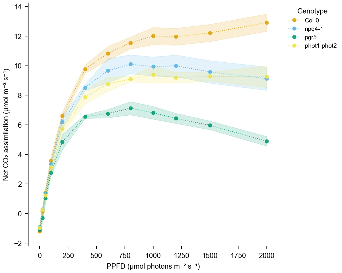 Dotted genotype light-response lines with SD intervals and circle markers (Figure generated with SciFig)
