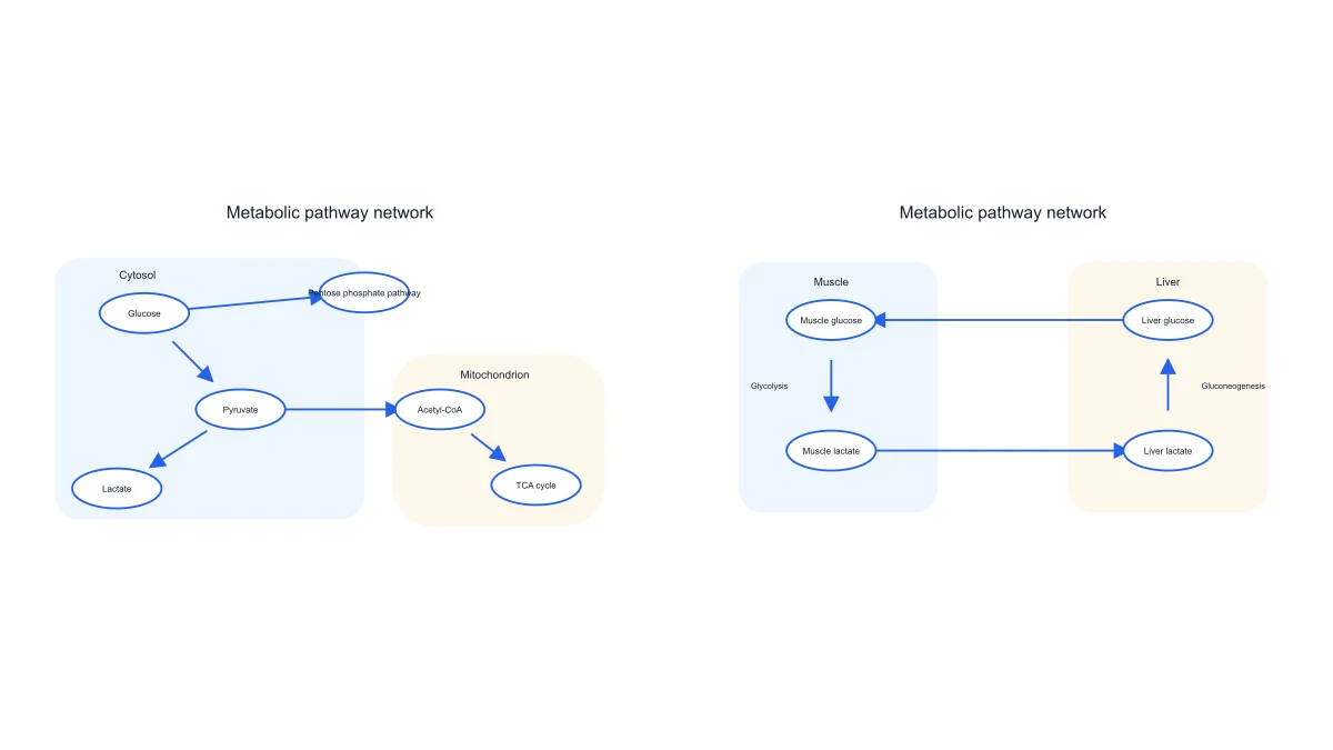 Metabolic Pathway Diagram Generator example figure