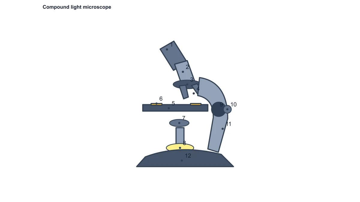 Numbered microscope parts worksheet