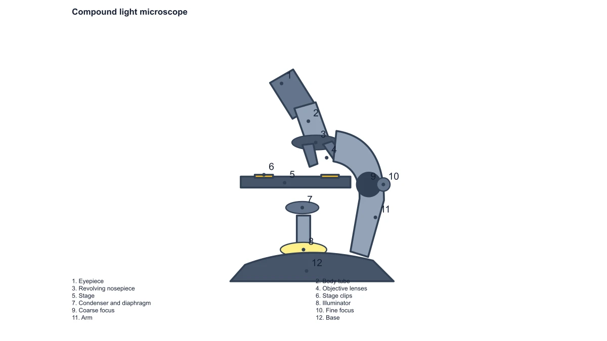 Microscope part numbers and matching answers