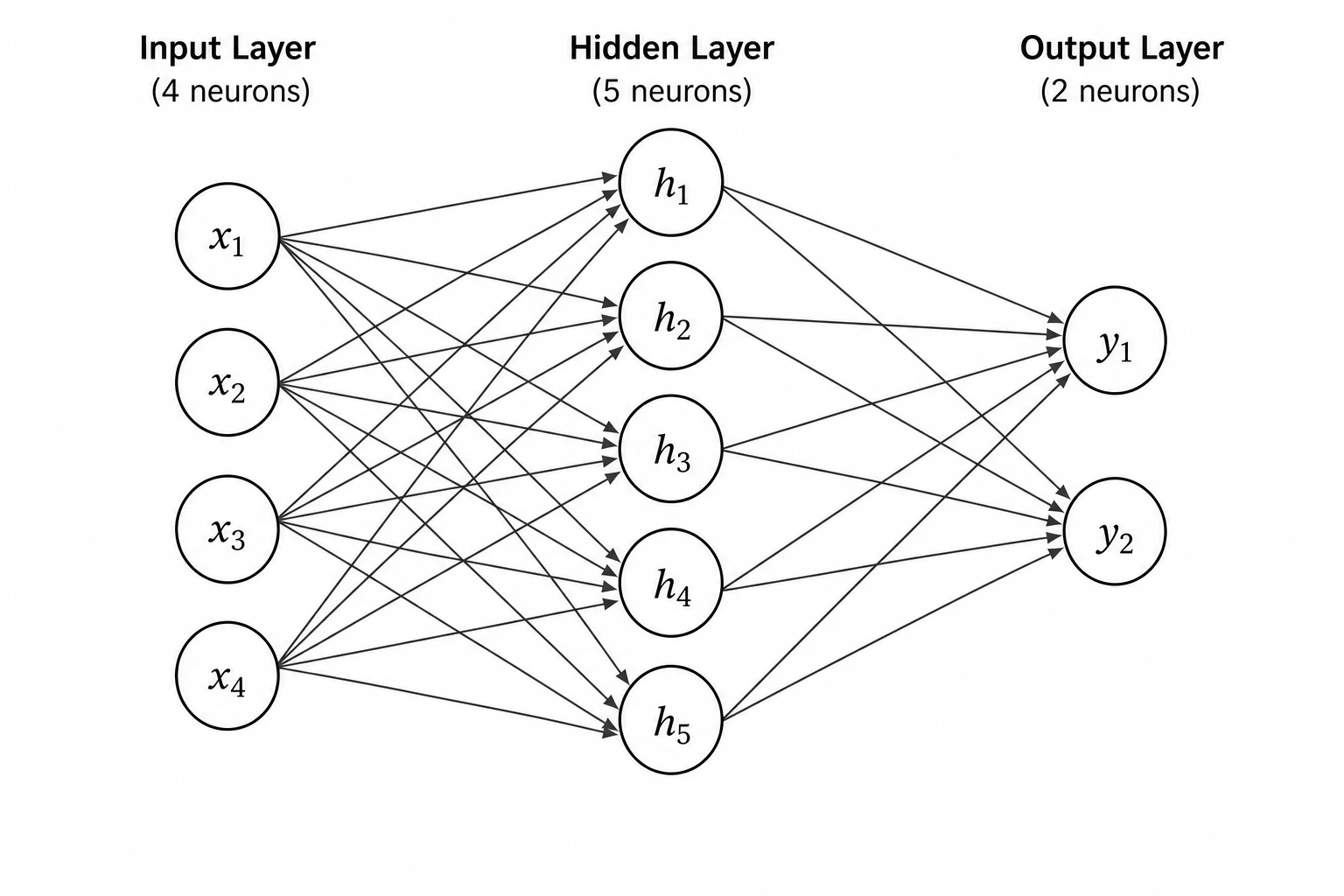 Multilayer perceptron neural network architecture diagram with input, hidden, and output layers connected by weighted edges (Figure generated with SciFig)