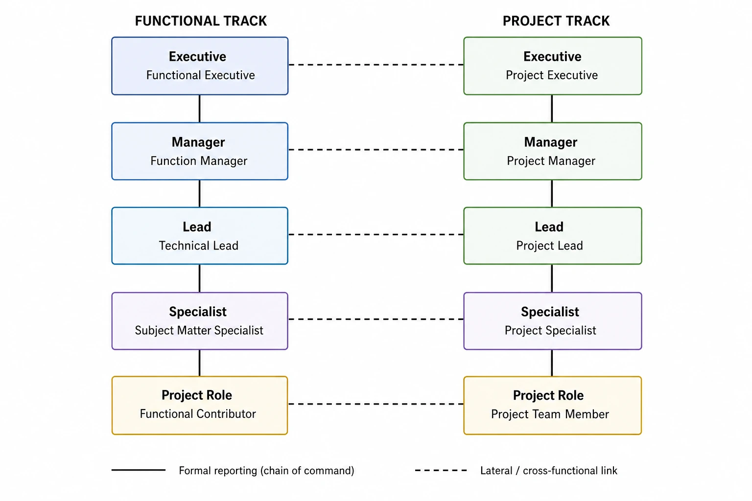 Matrix org chart showing two vertical reporting chains with dashed lateral cross-functional links (Figure generated with SciFig)