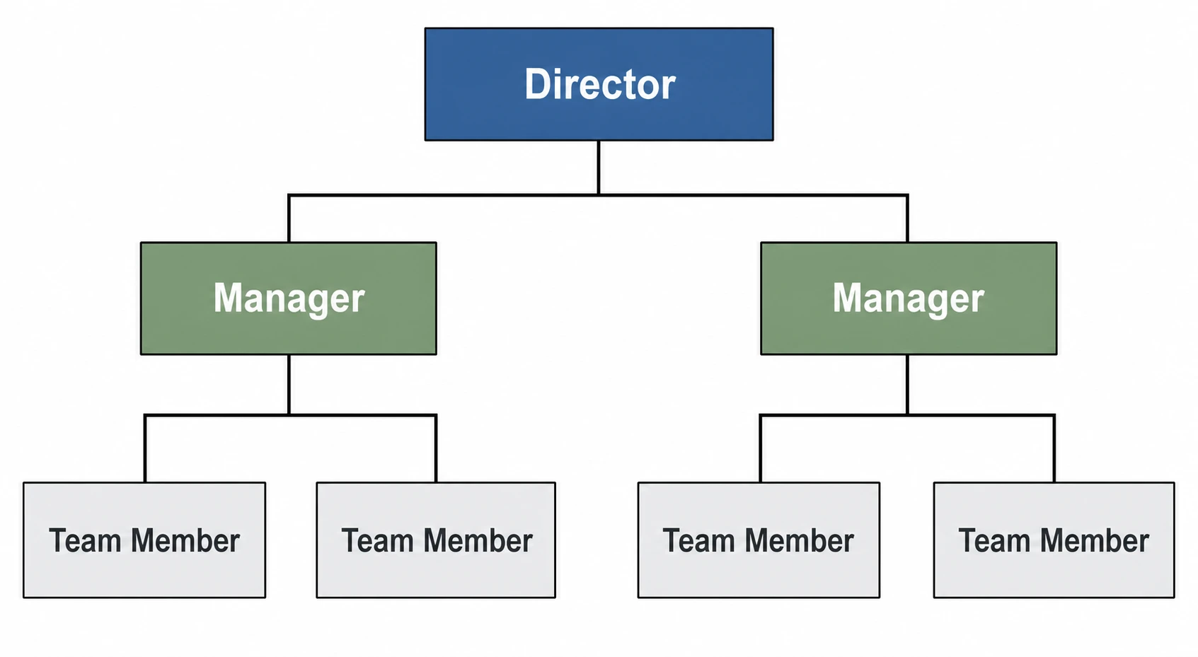 Org chart diagram showing a three-level organizational hierarchy with director, managers, and team members connected by reporting lines (Figure generated with SciFig)