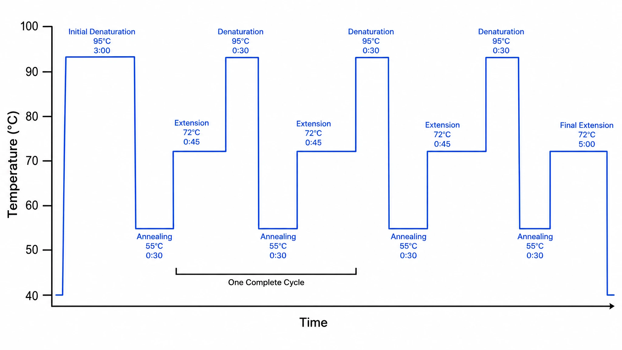 PCR thermal cycling profile plotting temperature against time across denaturation, annealing, and extension plateaus (Figure generated with SciFig)
