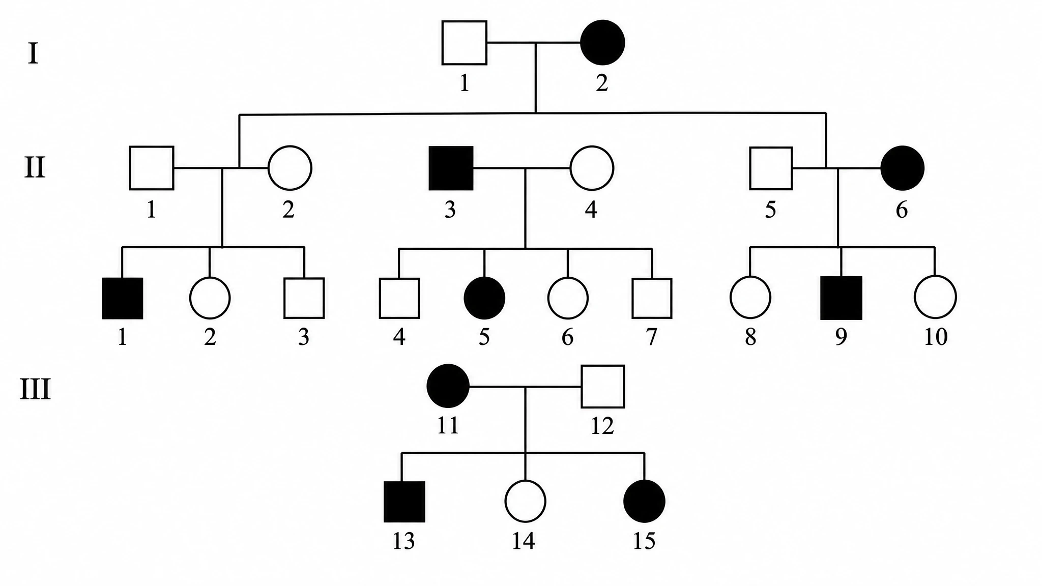 Three-generation family pedigree chart with numbered individuals, mating lines, and filled symbols showing affected family members (Figure generated with SciFig)