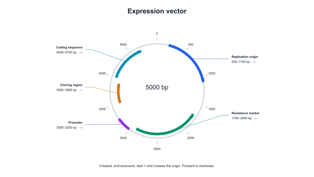 Expression plasmid map with directional feature arcs