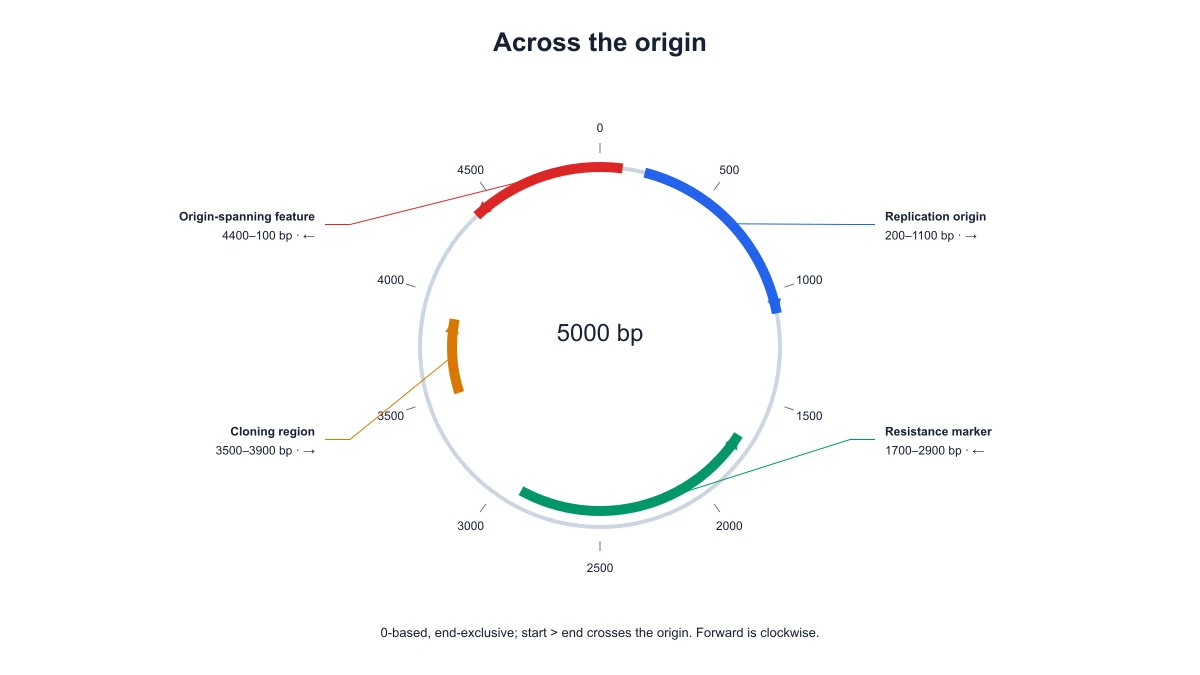 Circular plasmid feature crossing the coordinate origin