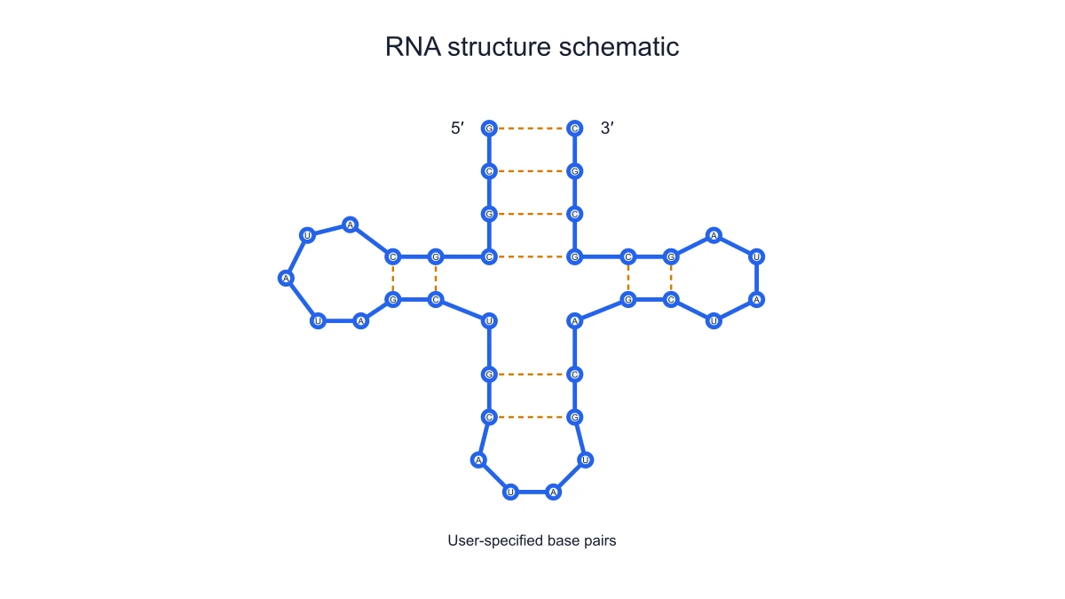 Finite tRNA-style cloverleaf structural schematic