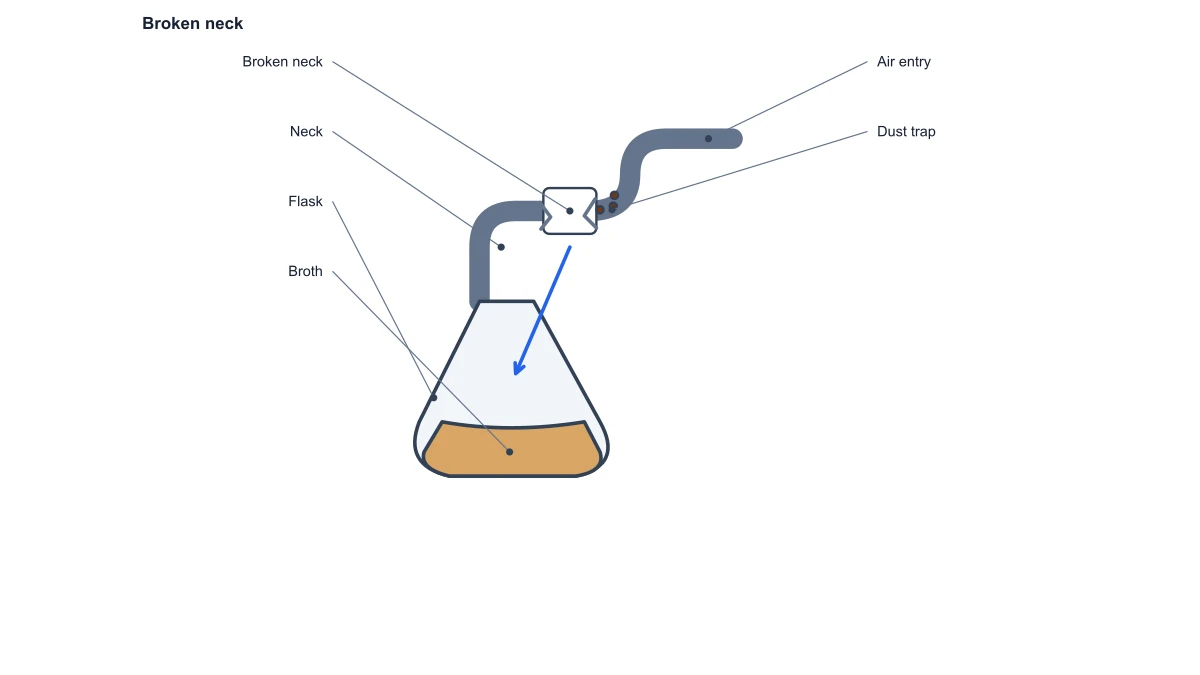 swan neck flask experiment diagram: broken neck