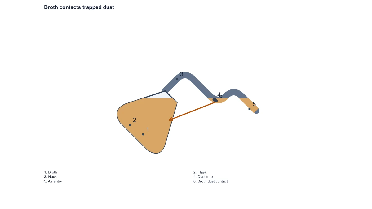 swan neck flask experiment diagram: experiment answers
