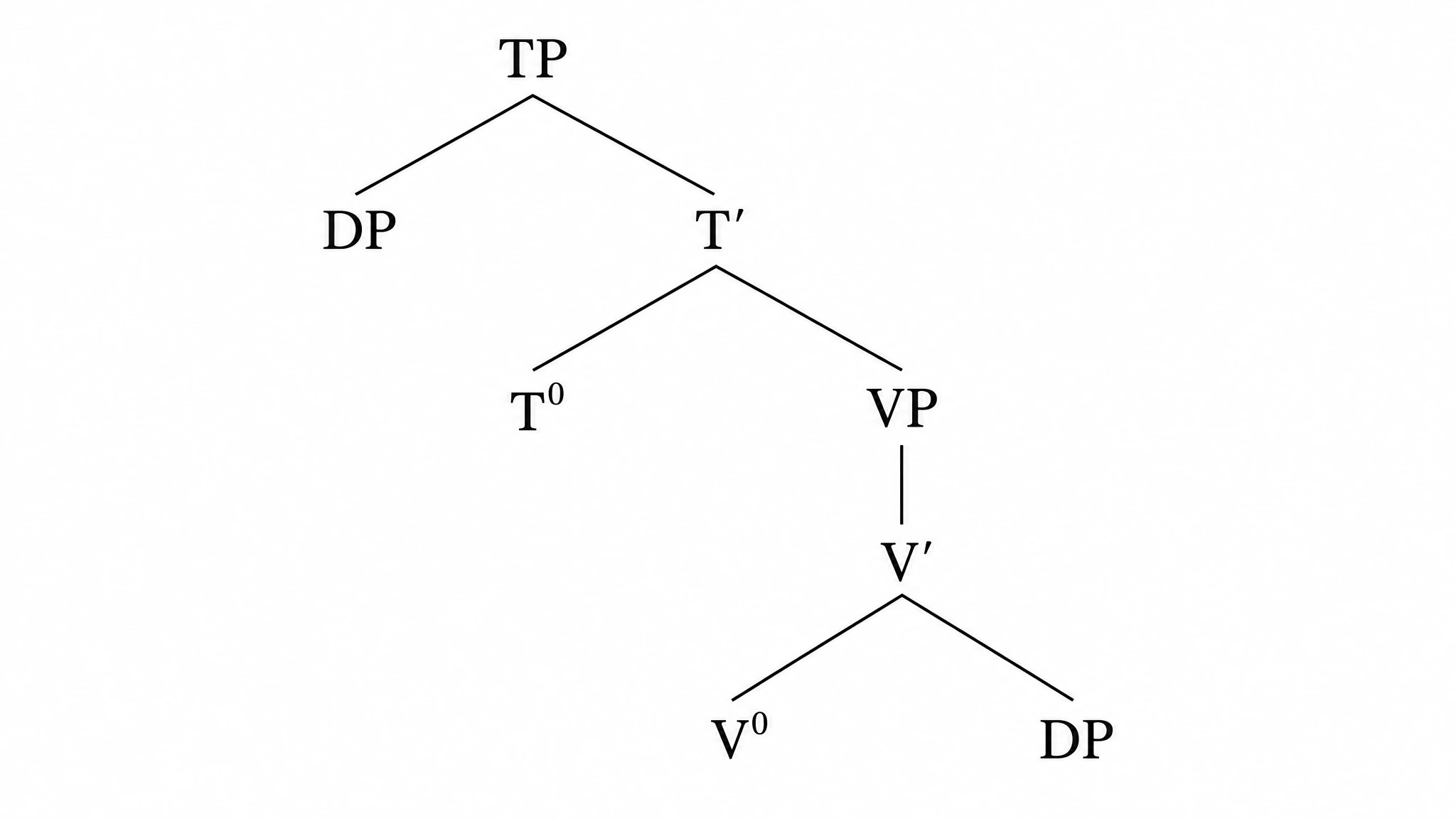 X-bar theory syntax tree with TP root, DP specifier, T-bar and V-bar intermediate projections, and DP complement (Figure generated with SciFig)