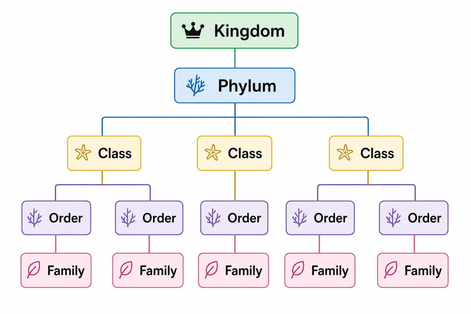 Biological taxonomy tree diagram with five hierarchical levels from Kingdom to Family (Figure generated with SciFig)