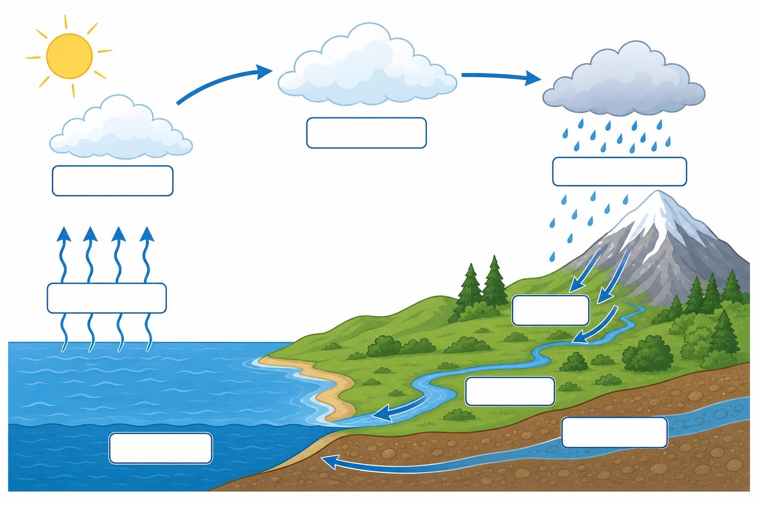 Unlabeled water cycle diagram template with blank labels for classroom worksheet use (Figure generated with SciFig)