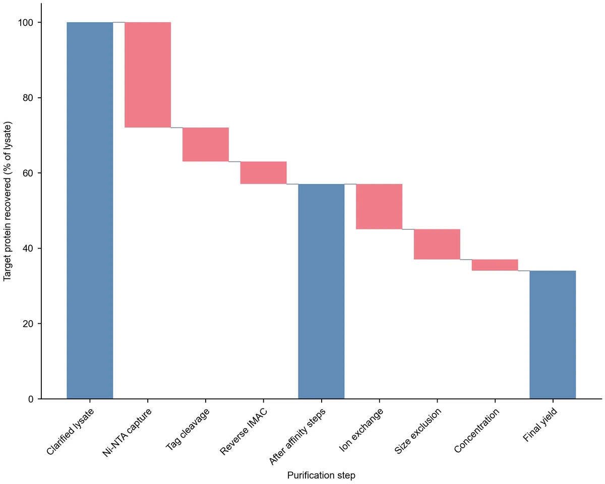 Waterfall chart of protein recovery from 100% lysate through a 57% subtotal after affinity steps to a 34% final yield