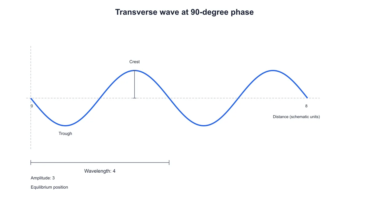 Two-cycle transverse wave with phase shifted ninety degrees and crest and trough labels