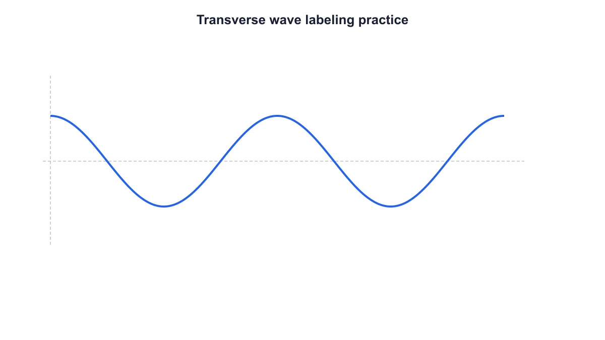 Transverse wave without part labels for a labeling practice sheet