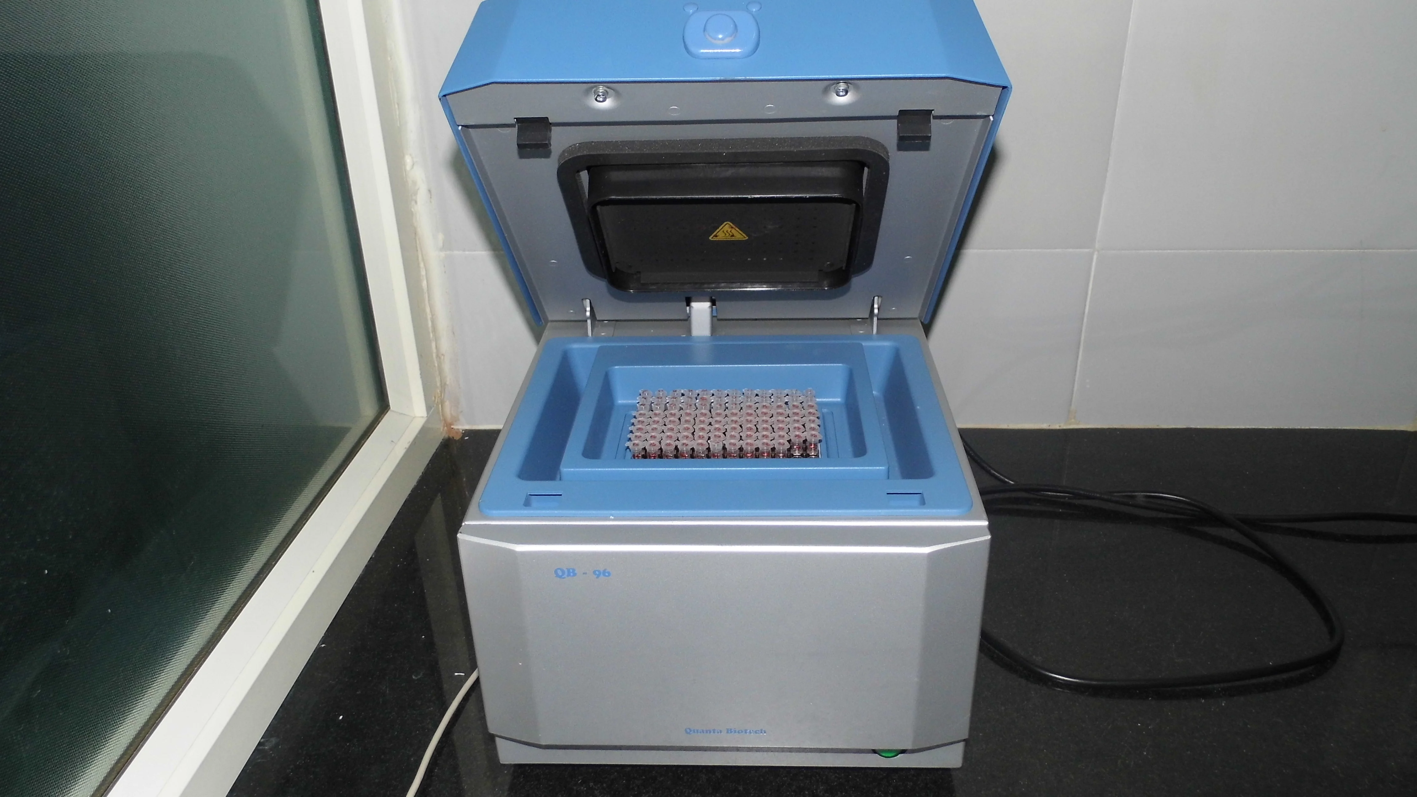 Original lab photograph used as input