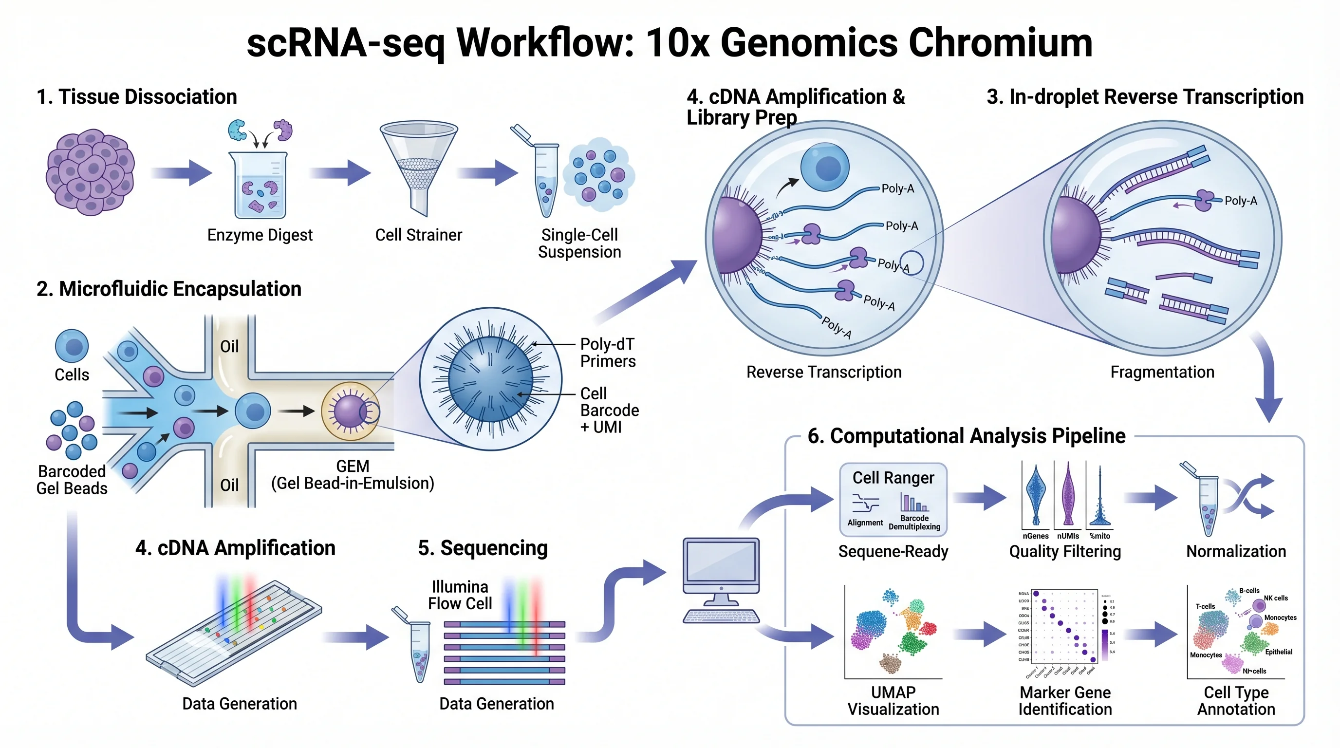 Generated scientific figure before editing in the vector canvas