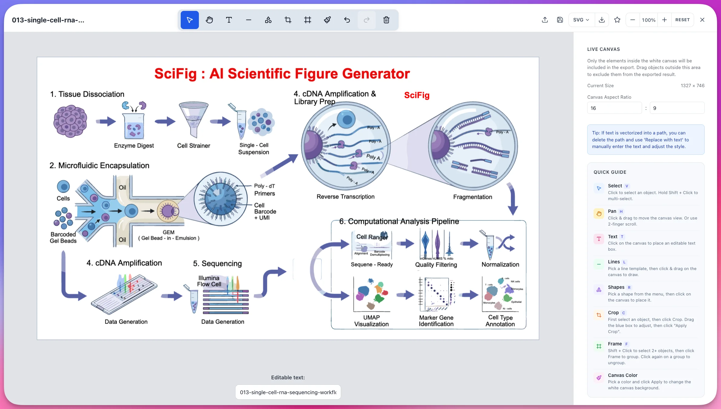 Same scientific figure after editing in the SciFig vector canvas